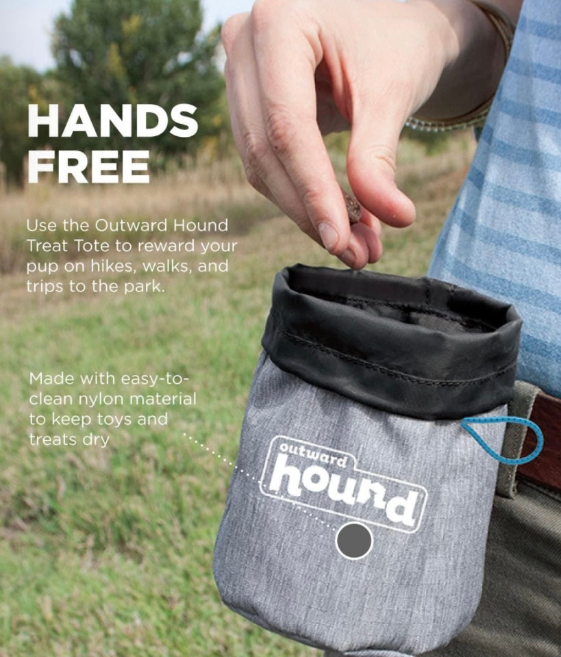 Treat Tote