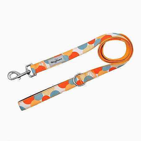 Dancing Dots Leash