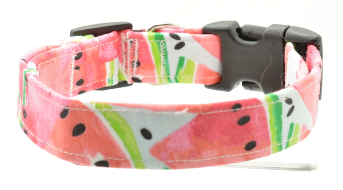 Watermelon Dog Collar - Shop Sassy Dogs