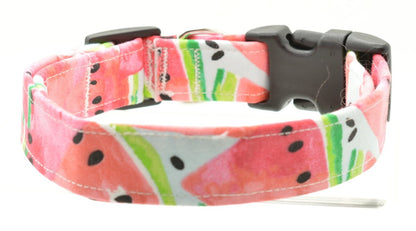 Watermelon Dog Collar - Shop Sassy Dogs